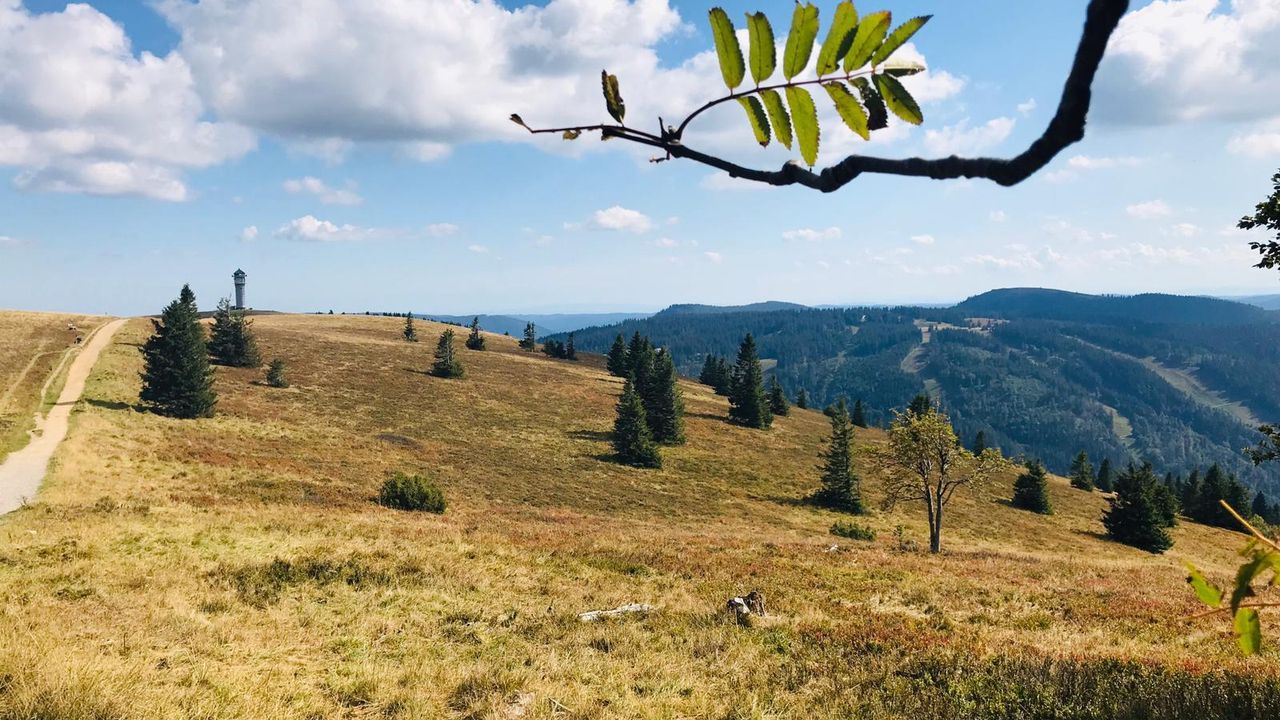 Feldberg Feldberg